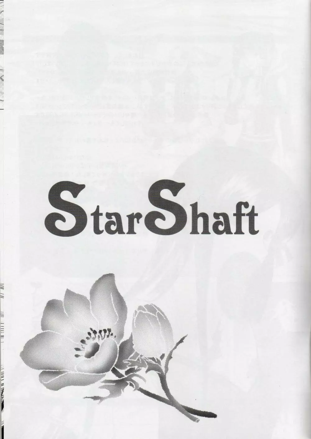 Star Shaft 2ページ