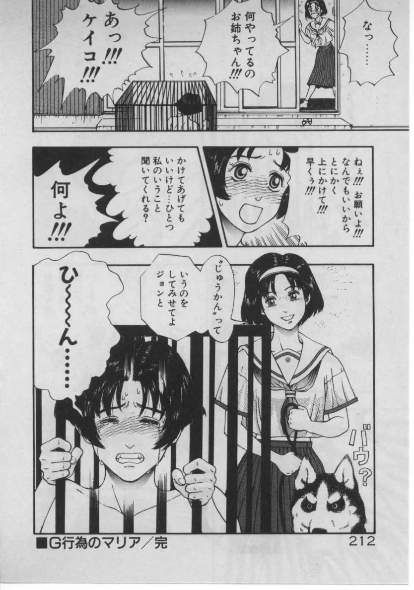 どきどき☆コネクション 204ページ