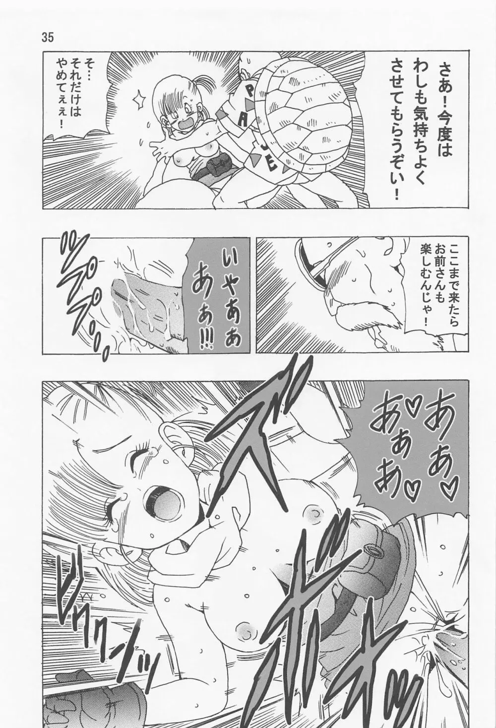 ブルマ本 ~神龍の伝説~ 36ページ