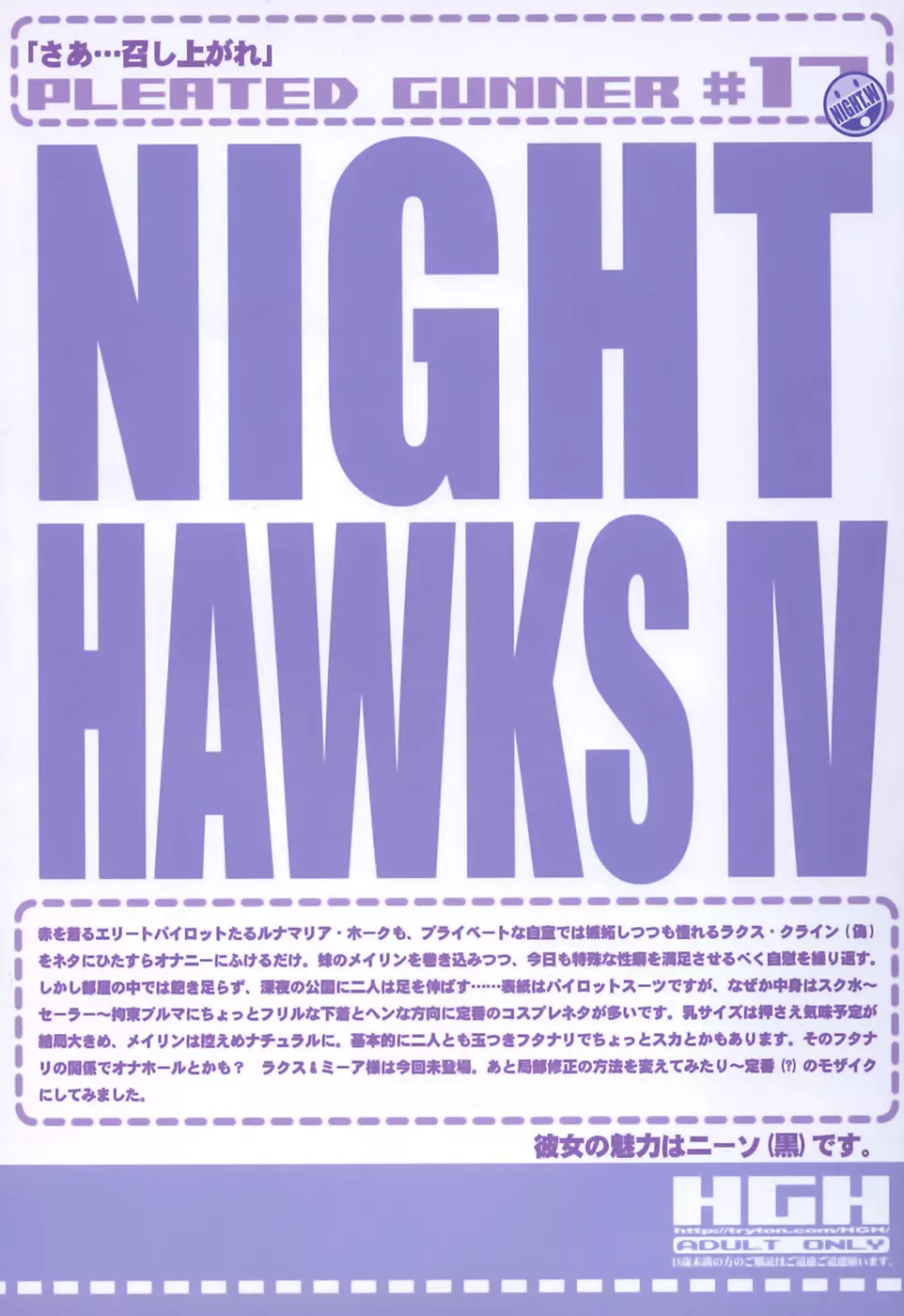 PLEATED GUNNER #17 NIGHT HAWKS IV 2ページ