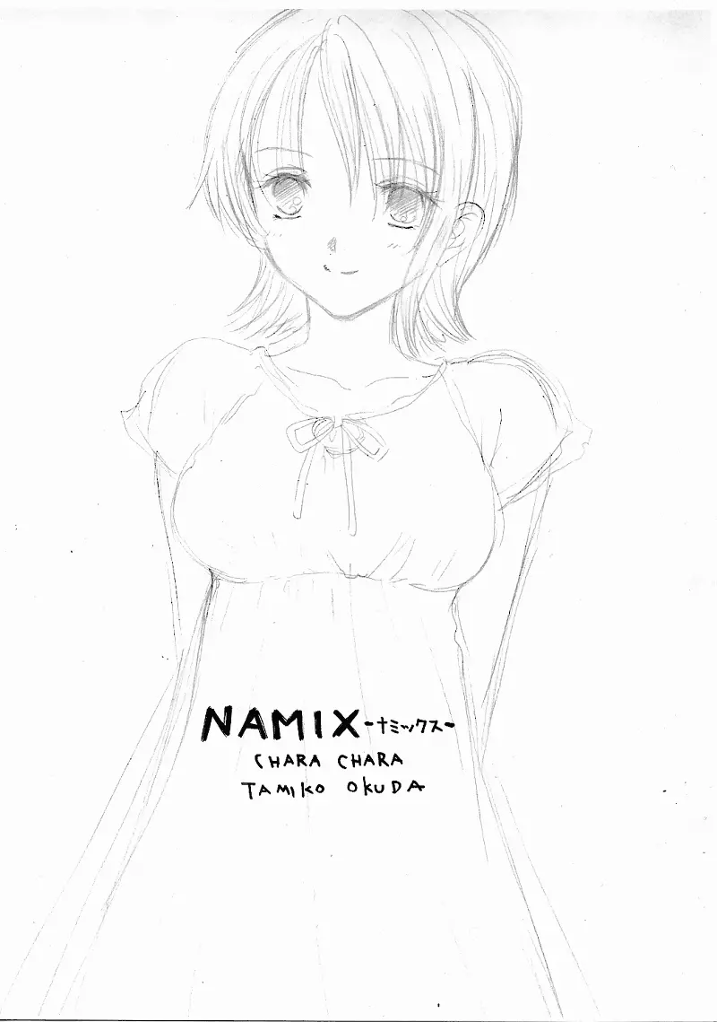 NAMIX 3ページ