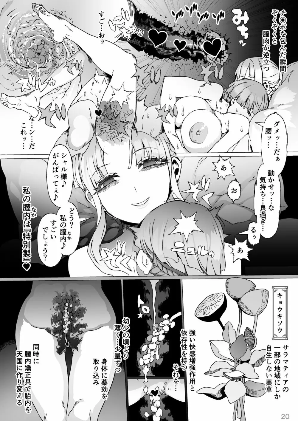 賢帝を歪めた悪姫 21ページ