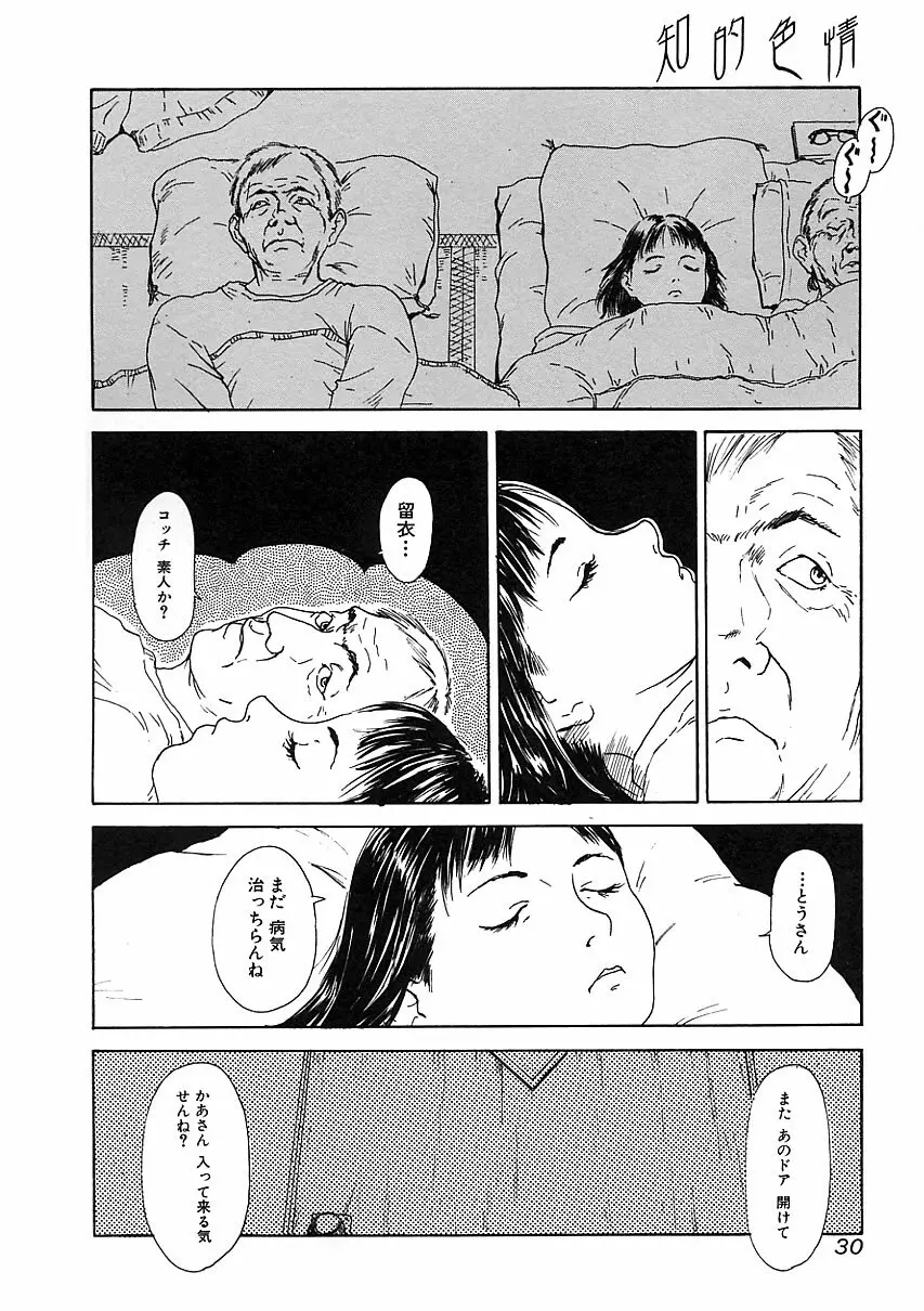 知的色情 vol.3 29ページ