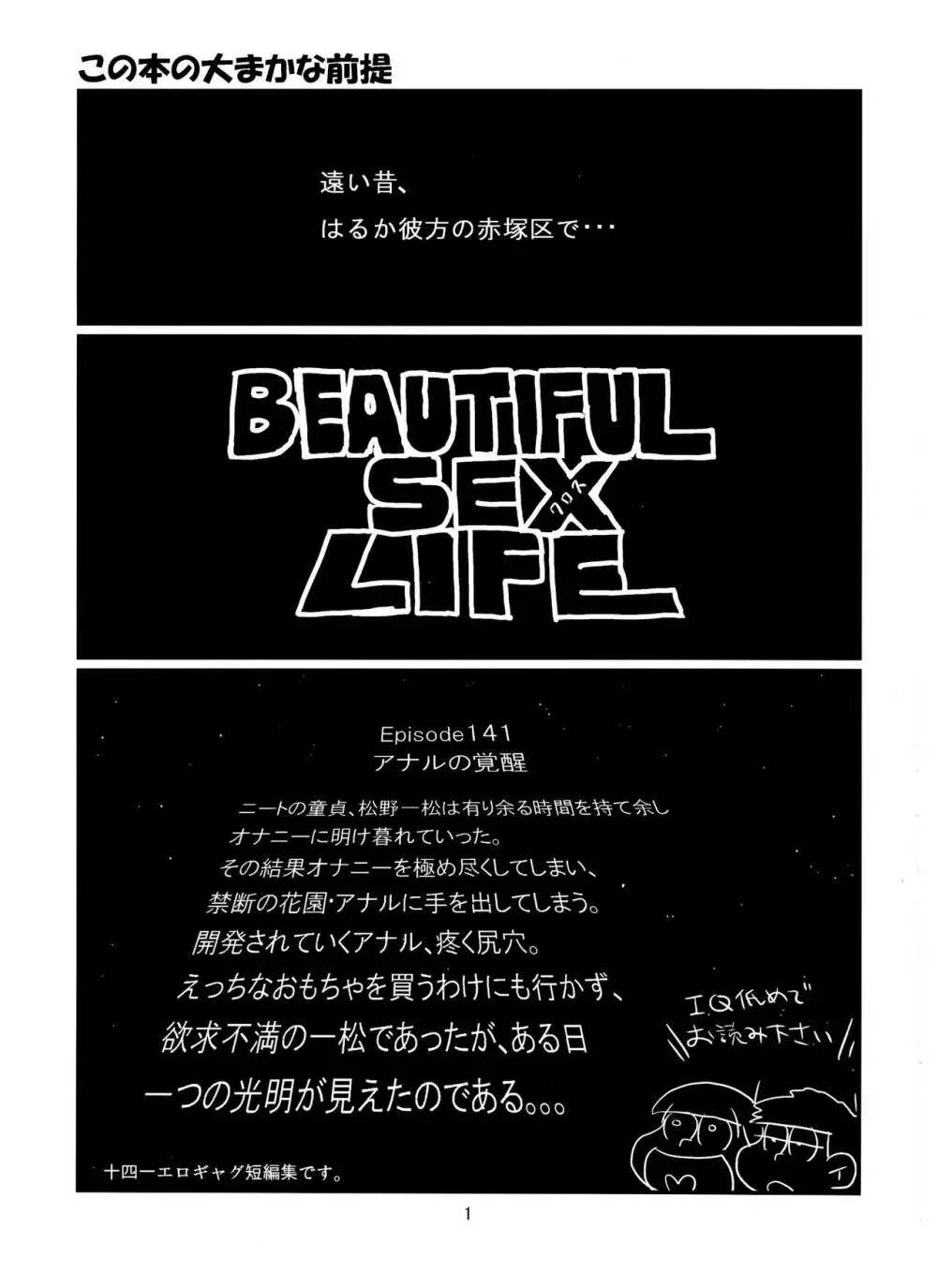 Beautiful Sex Life 2ページ