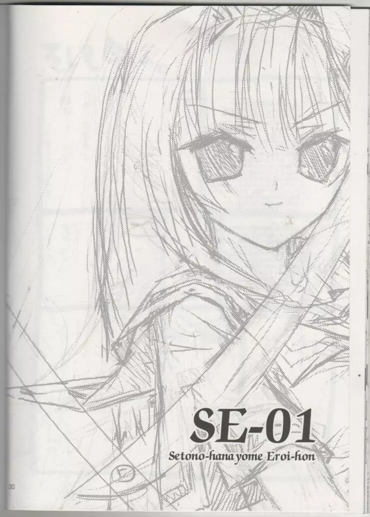 SE-01 29ページ