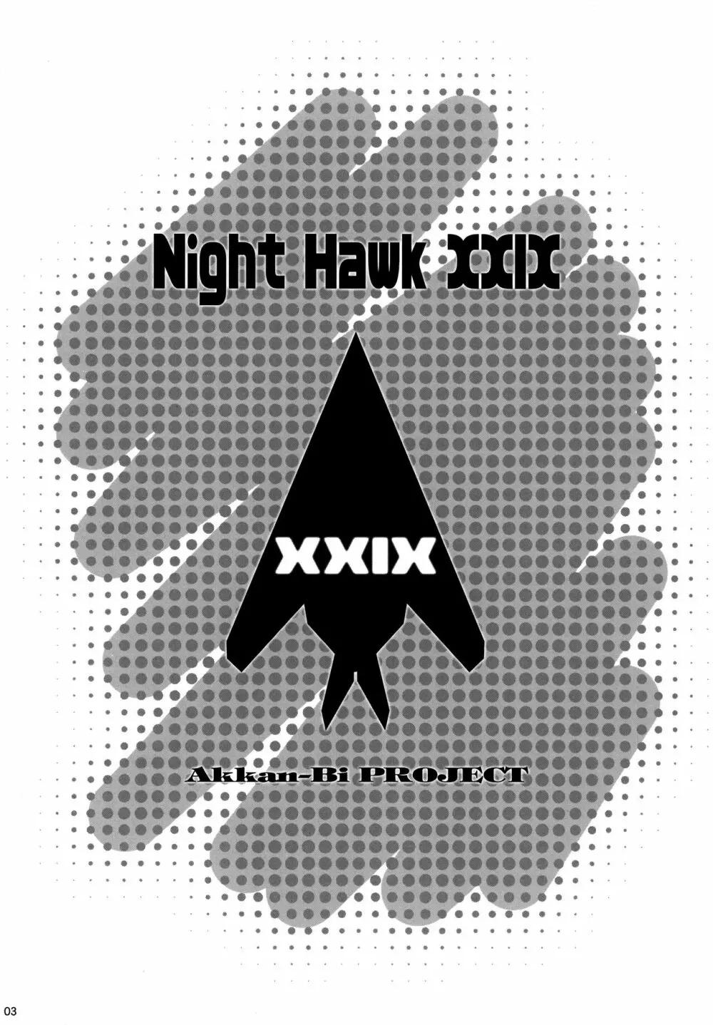 NightHawk XXIX 2ページ