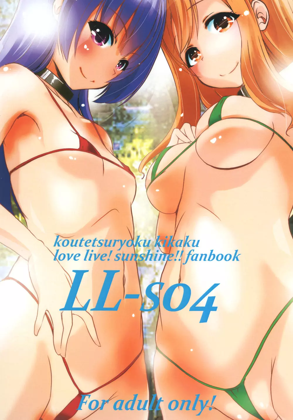 LL-SO4 1ページ