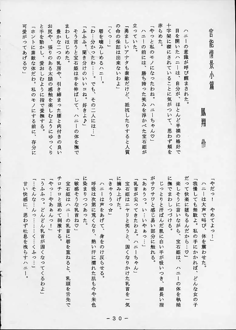 Ai No Hatimitsu Oneesan 29ページ