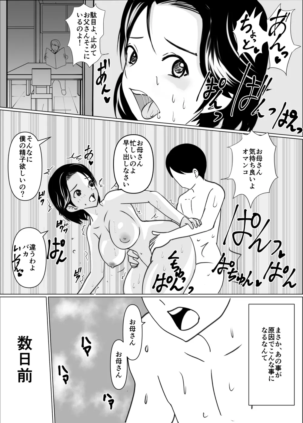 一般家庭の母子相姦 3ページ