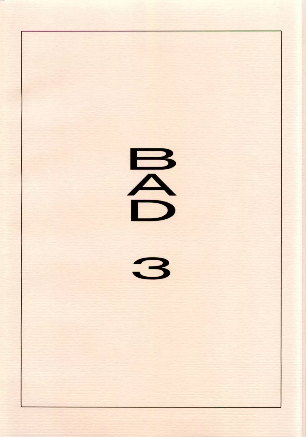 BAD3 30ページ