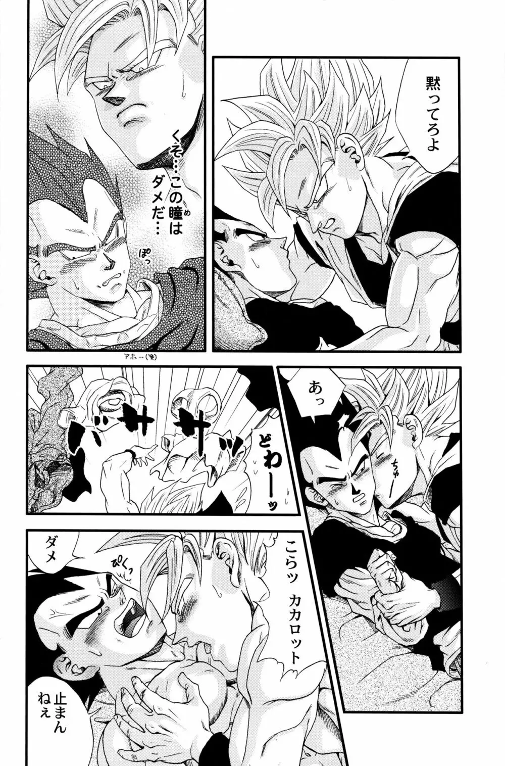 Dragonball Fan Book SPECIAL 13ページ