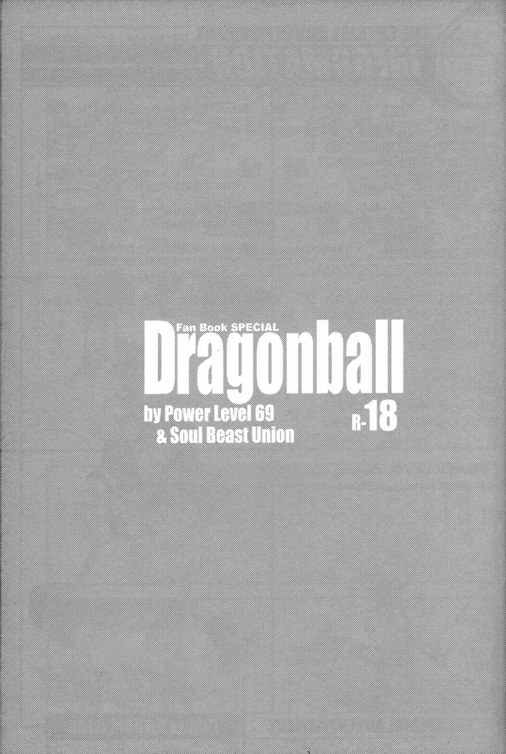 Dragonball Fan Book SPECIAL 4ページ