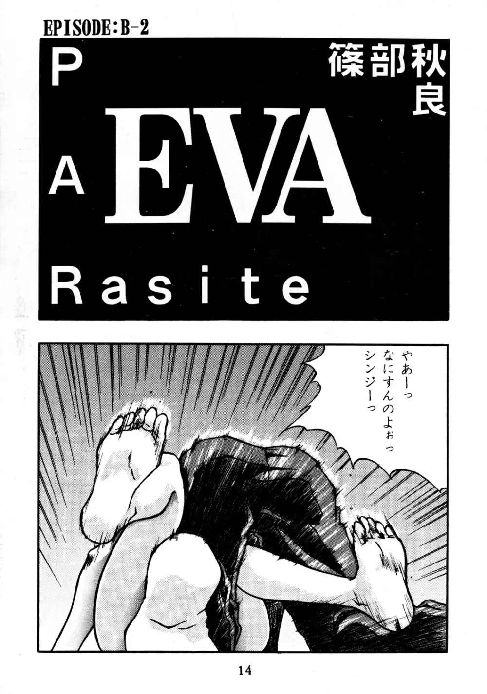 EVA PLUS B WEST JAPAN 仕様 13ページ