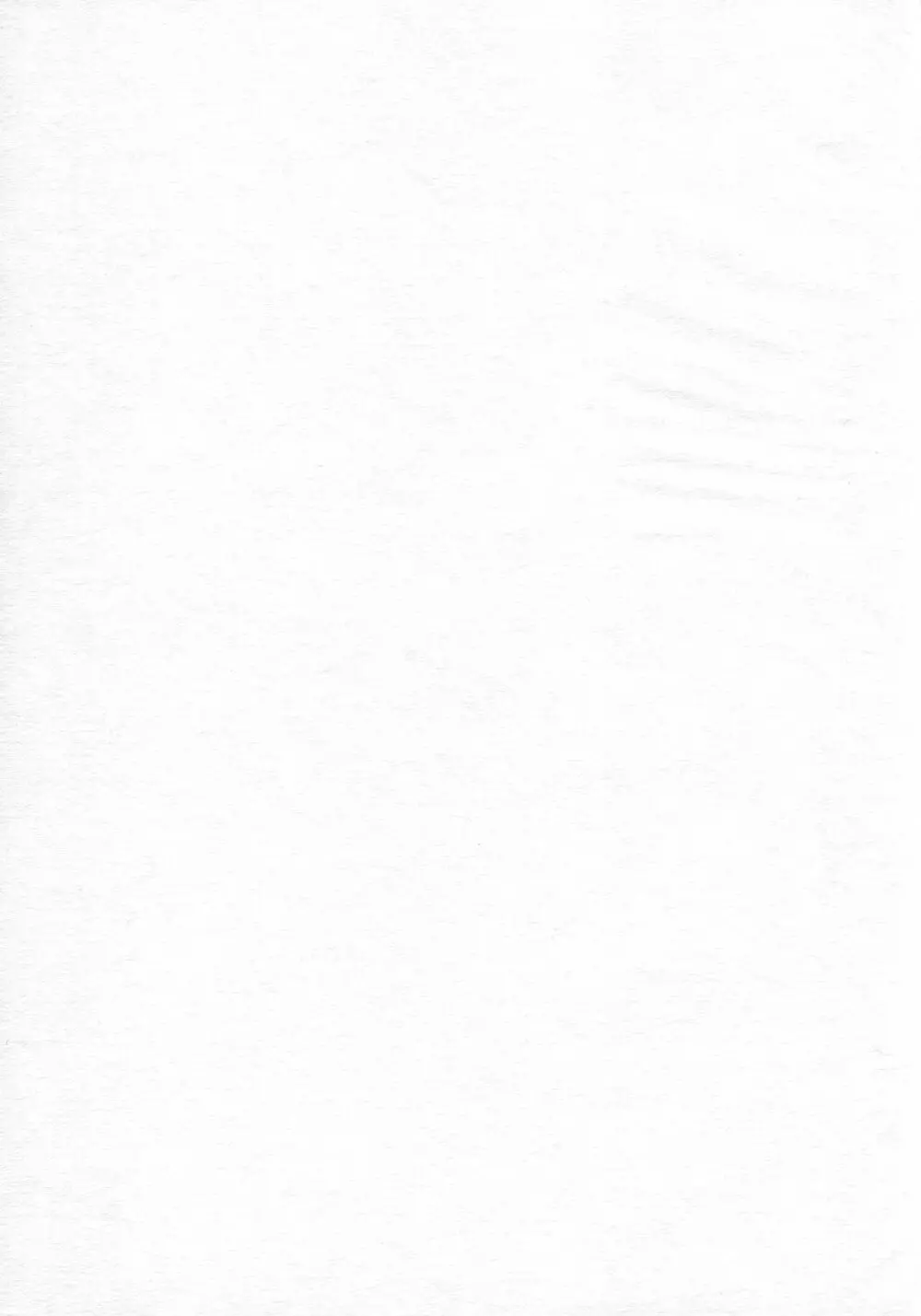 (リリカルマジカル11) [しんぷるくらす (しのづき巧)] off-White[0] 後編 (魔法少女リリカルなのは) 3ページ