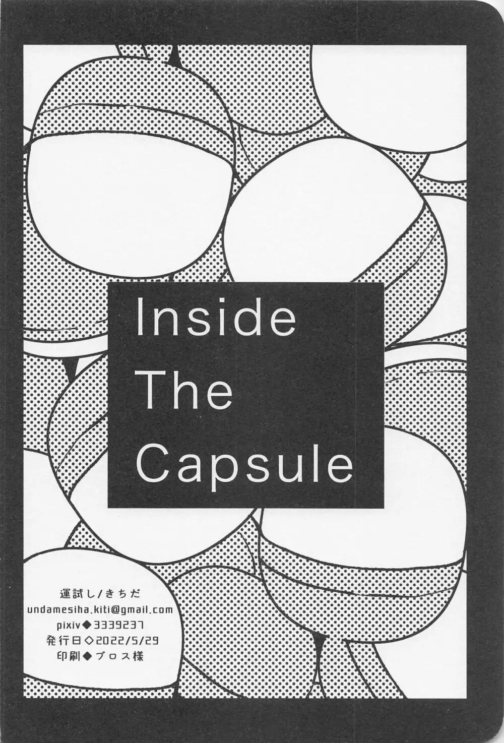 Inside The Capsule 33ページ