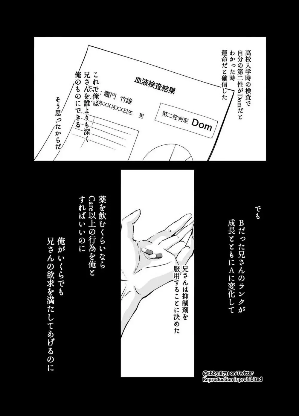 竹炭玉簾① 8ページ