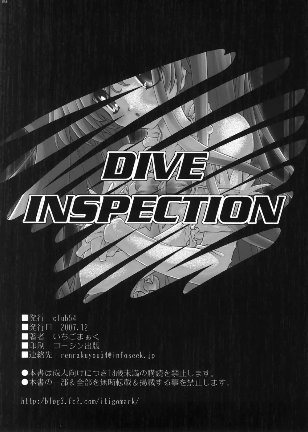 DIVE INSPECTION 53ページ