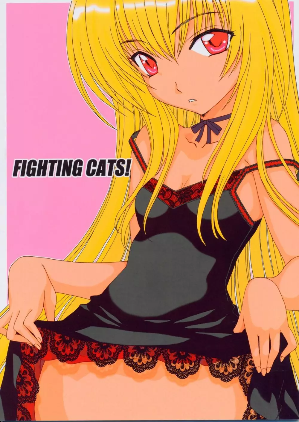 FIGHTING CATS!