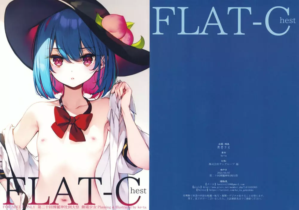 FLAT-Chest 1ページ