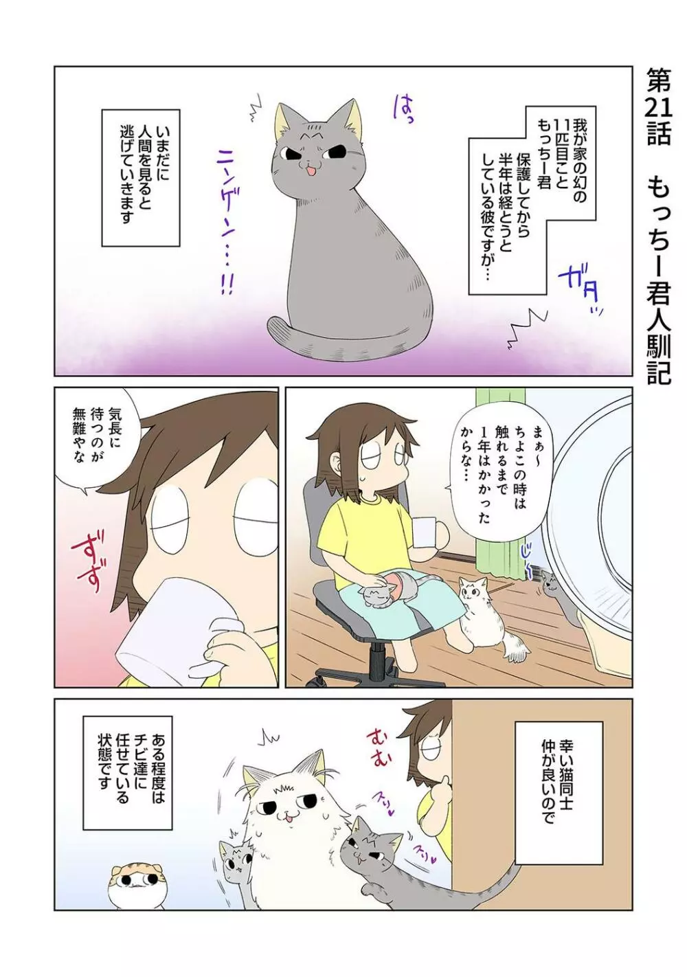 COMIC アナンガ・ランガ Vol.95 303ページ