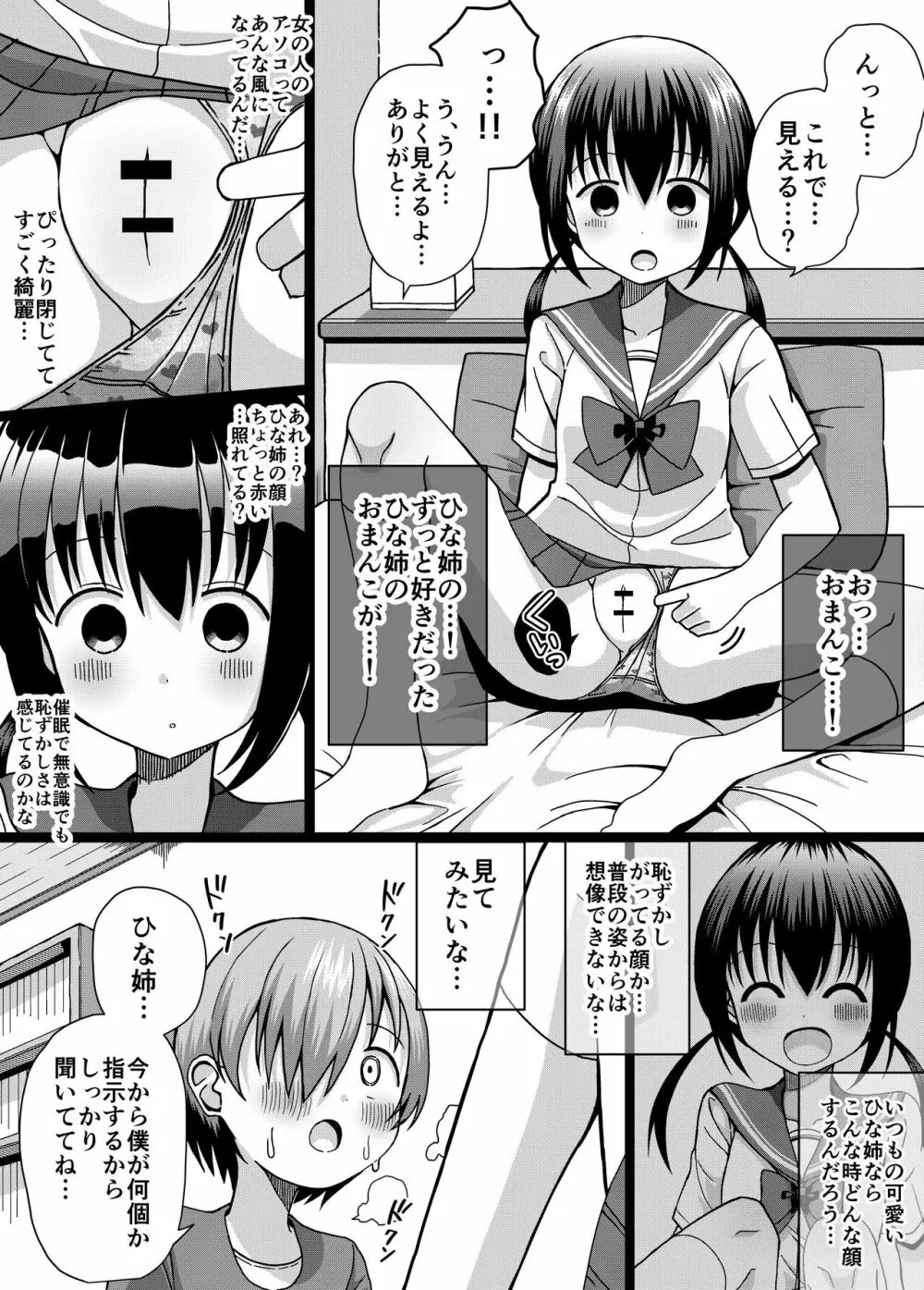 ひな姉ちゃんはぼくのもの〜他の男にはヤラせない〜 14ページ