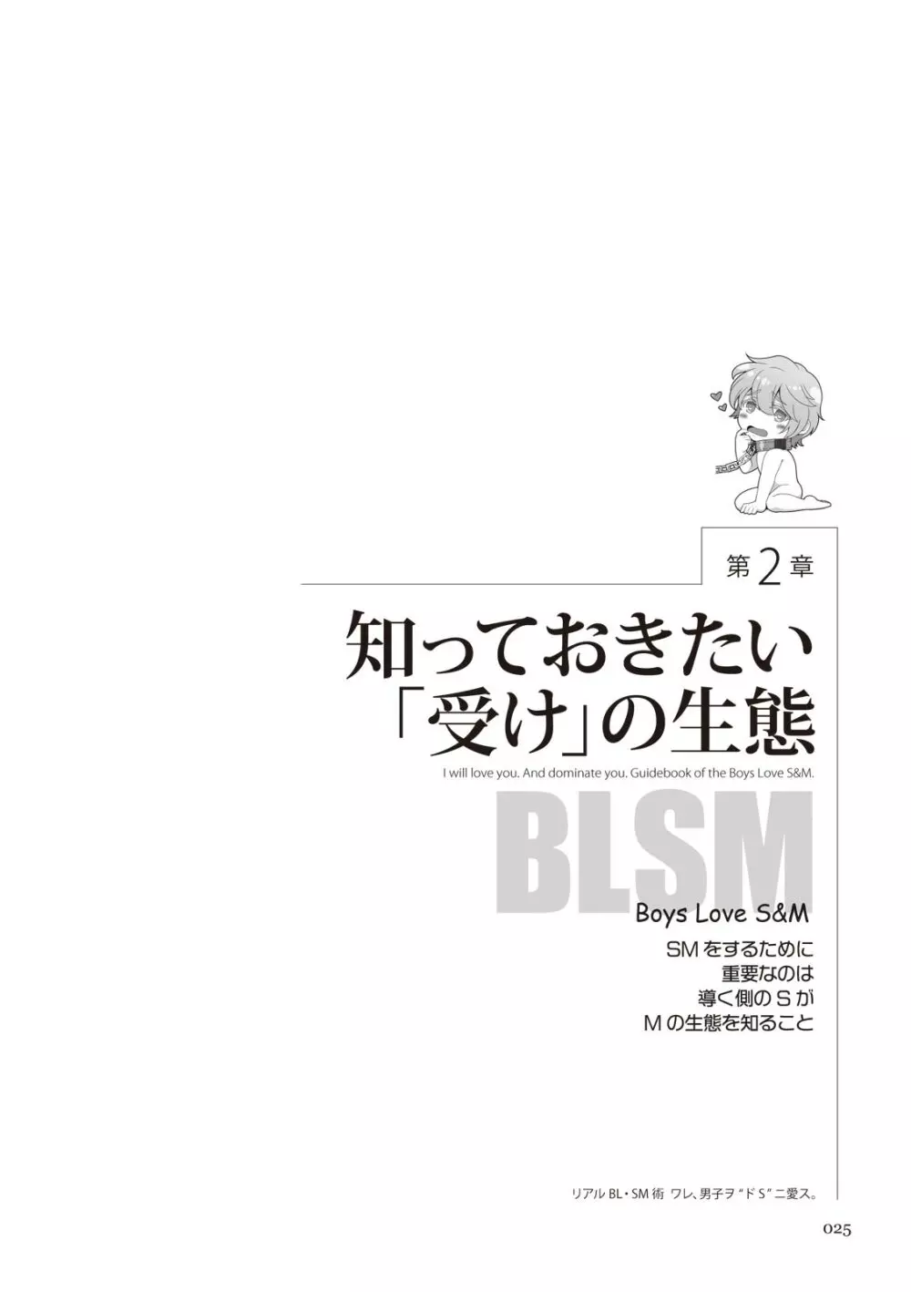 リアルBL・SM術 ワレ、男子ヲ‶ドS‶ニ愛ス。 25ページ