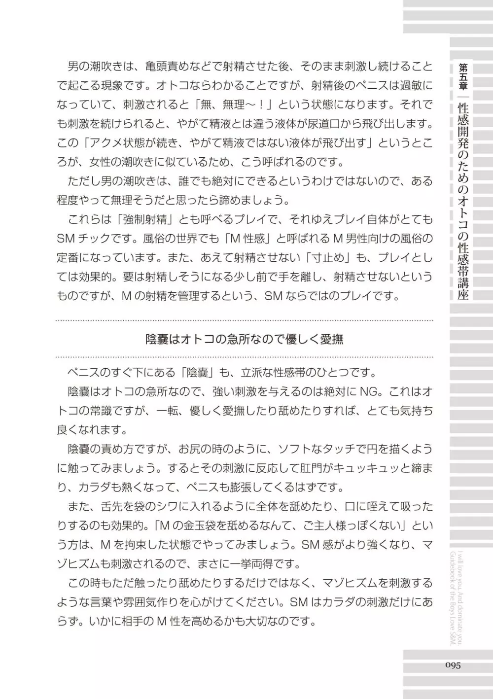 リアルBL・SM術 ワレ、男子ヲ‶ドS‶ニ愛ス。 95ページ