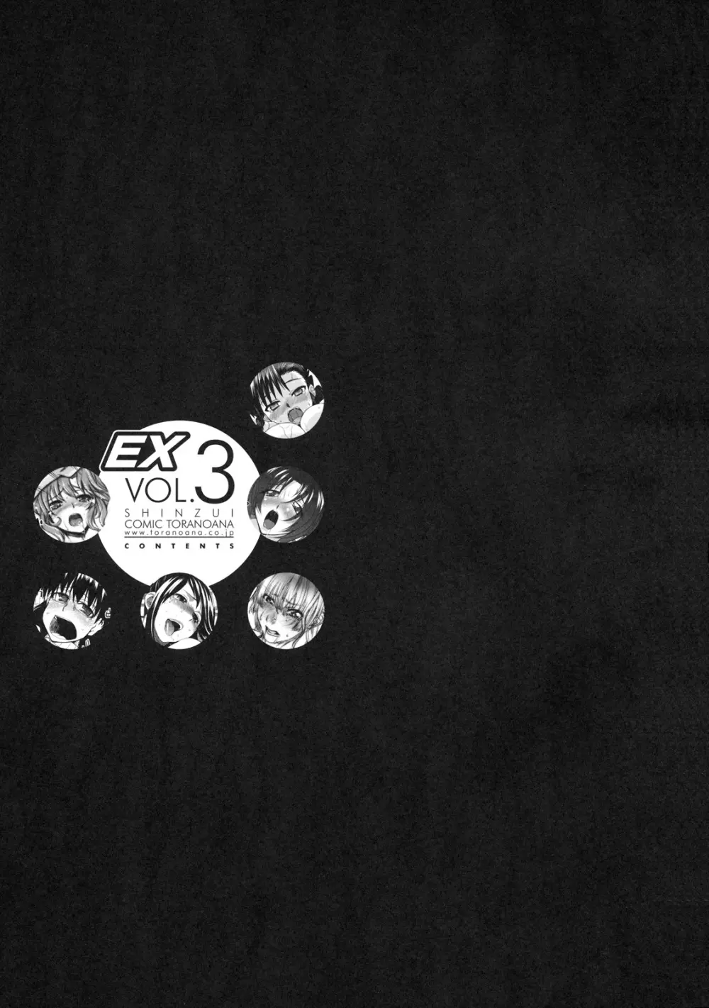 真髄 EX Vol.3 2ページ