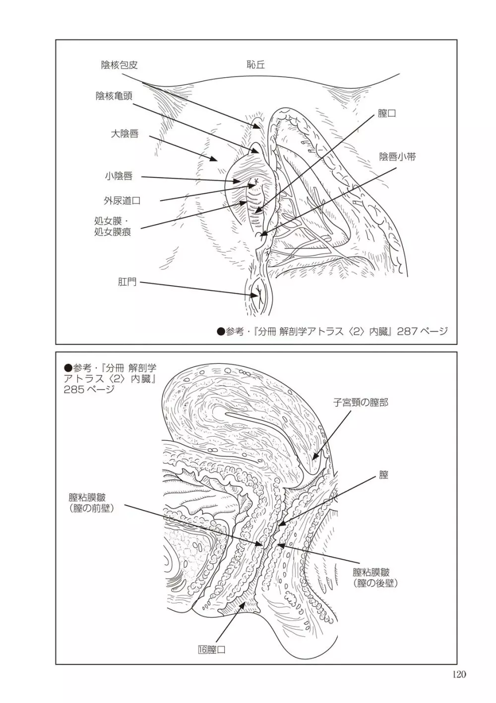 大人のお医者さんごっこ 検査・測定編 120ページ