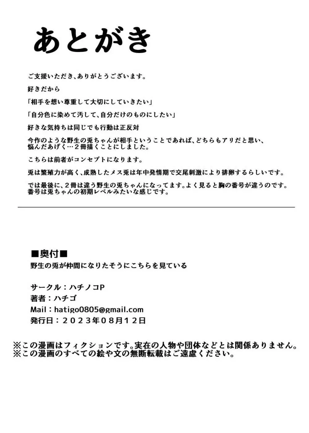 野生の兎が仲間になりたそうにこちらを見ている 19ページ