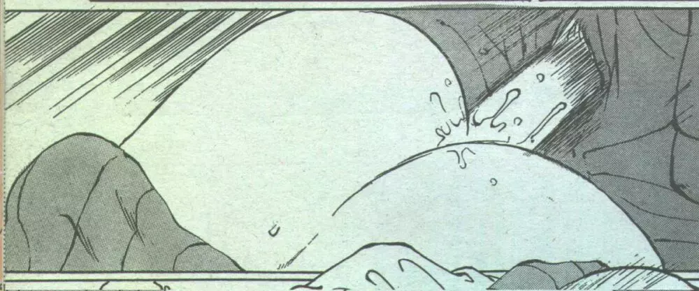 コットンコミック 1994年08月号 162ページ