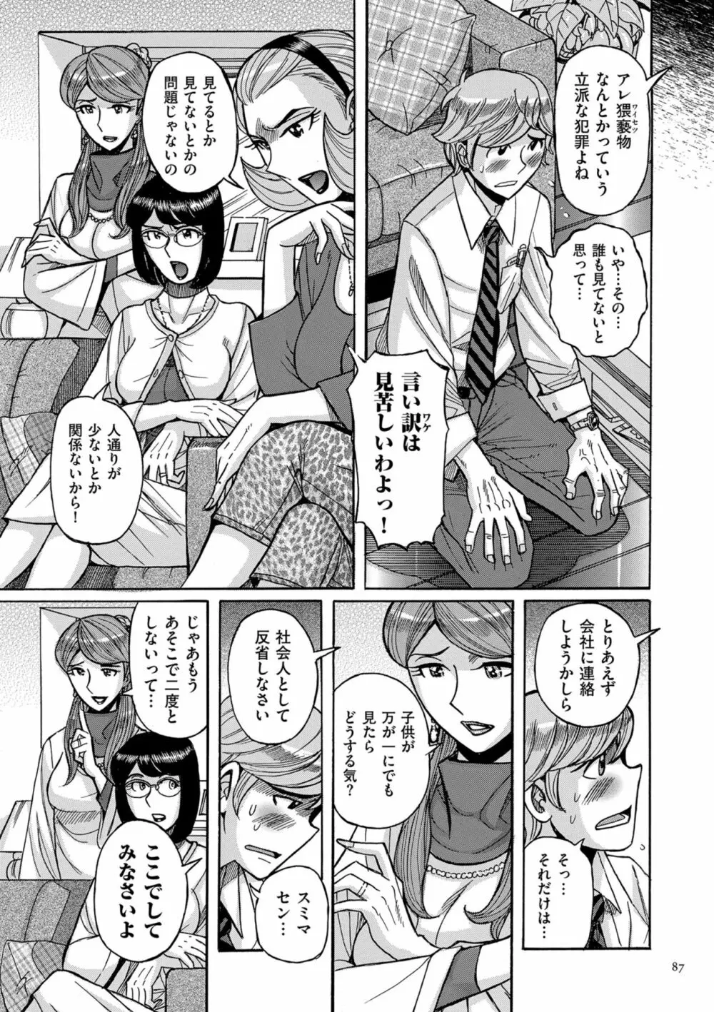 Mother’s Care Service How to ’Wincest’ 87ページ