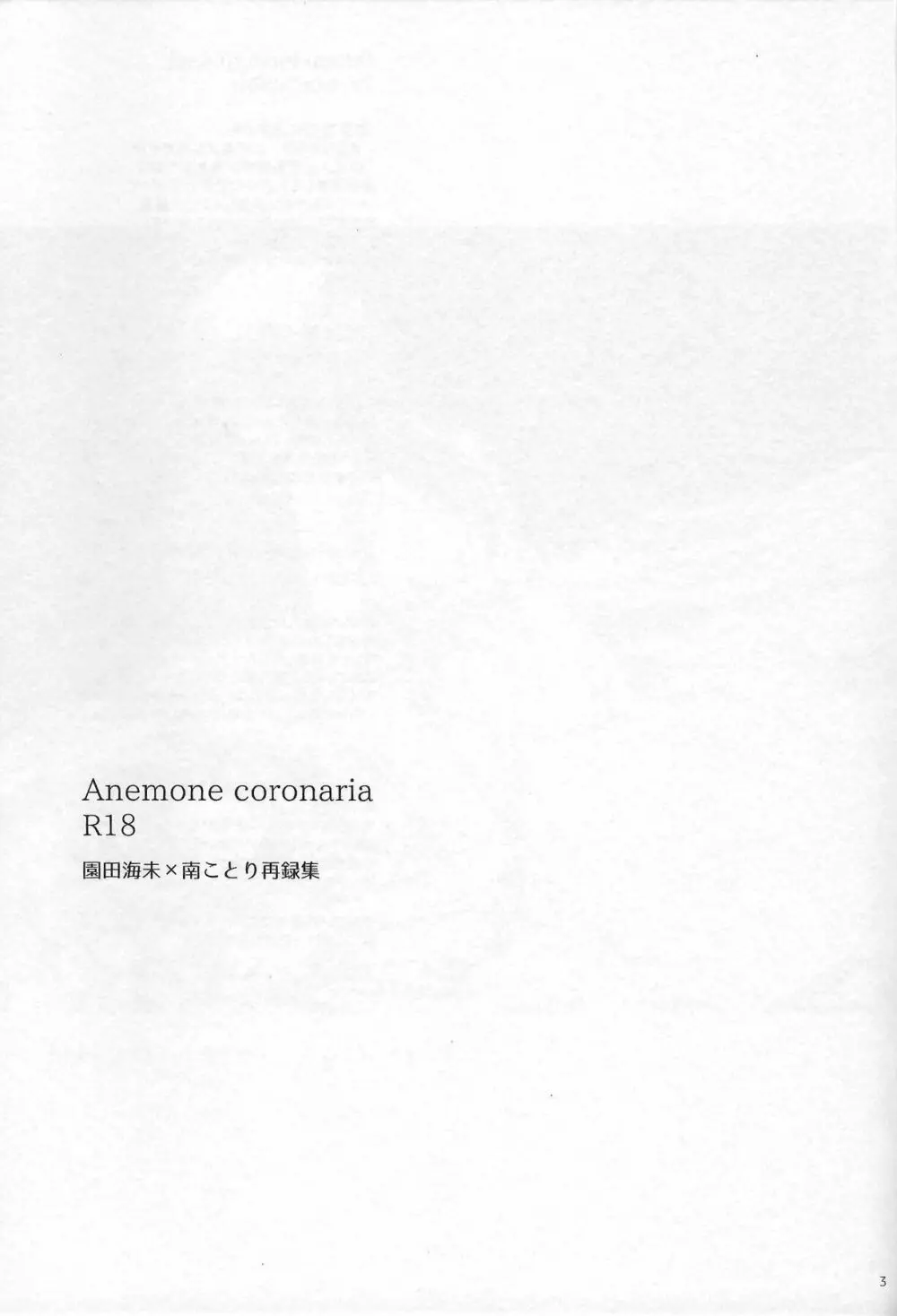 Anemone coronaria 2ページ