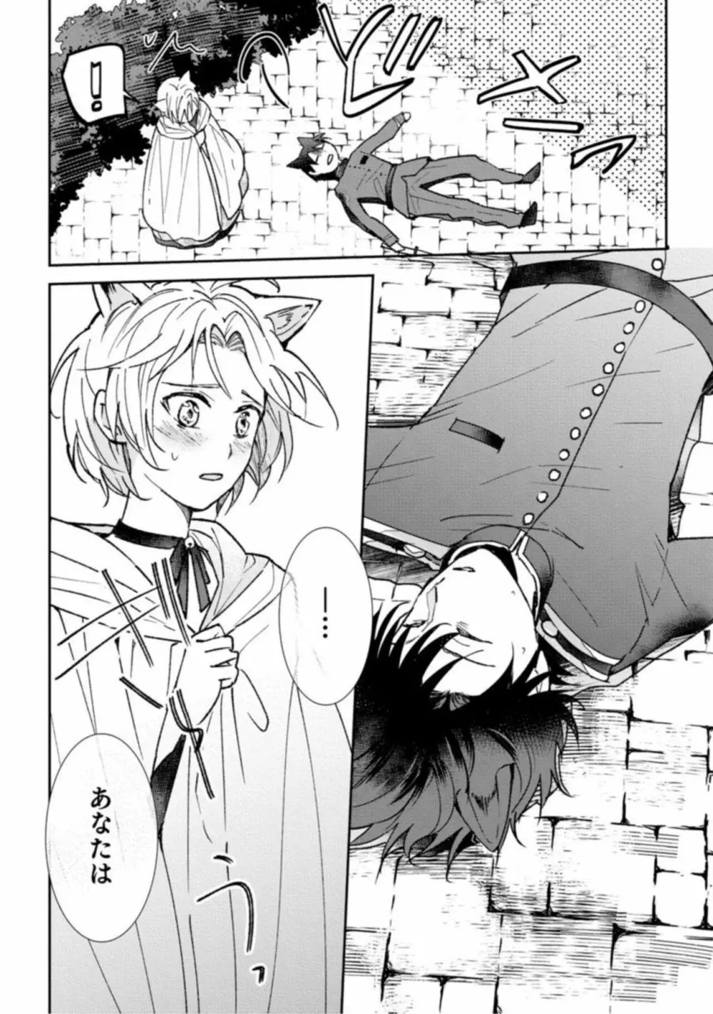 獣人騎士の敬愛 STORY.1 26ページ