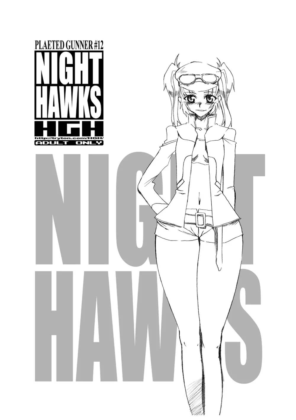 NIGHT HAWKS QUADRILOGY 4ページ