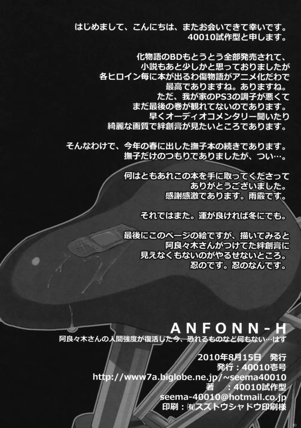 ANFONN-H 29ページ