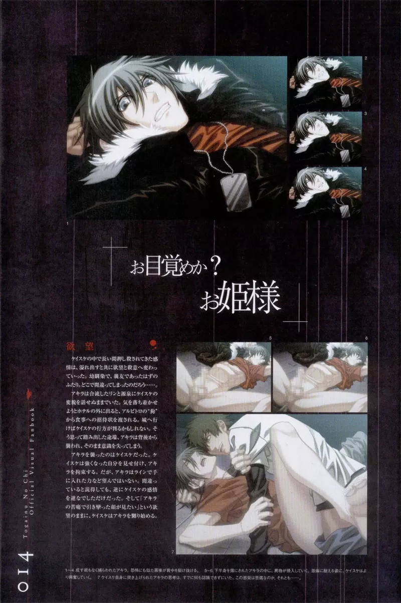 Togainu no chi – Official Visual Fan Book 15ページ