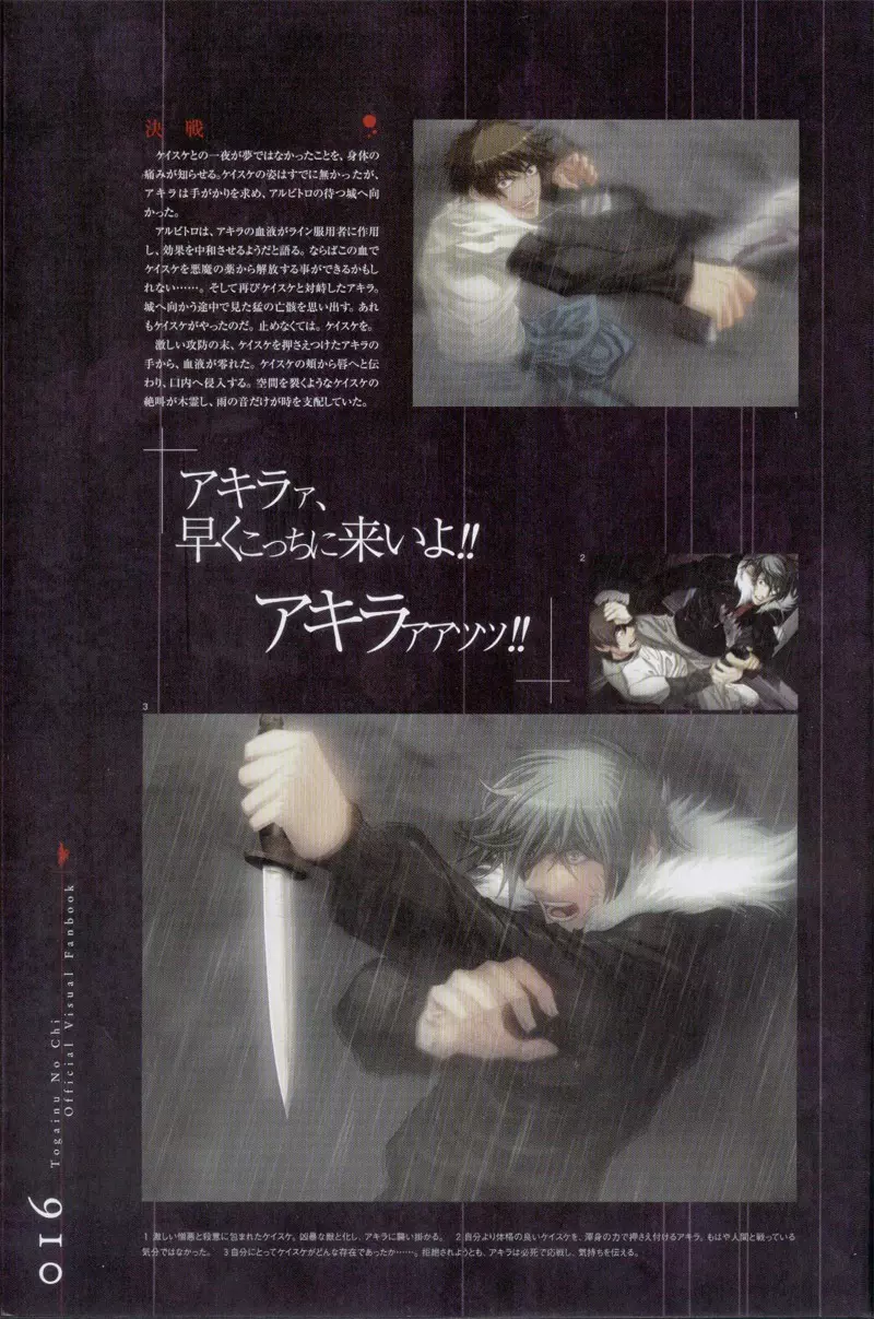 Togainu no chi – Official Visual Fan Book 17ページ