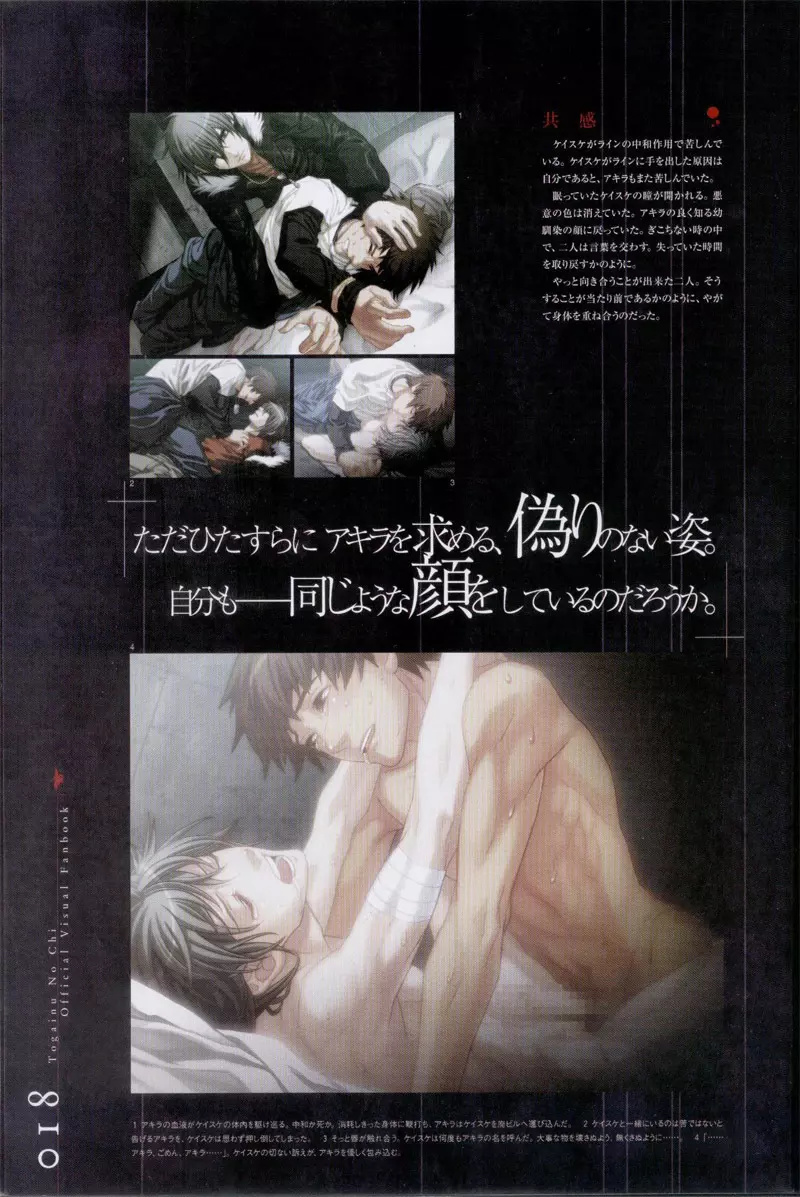 Togainu no chi – Official Visual Fan Book 19ページ