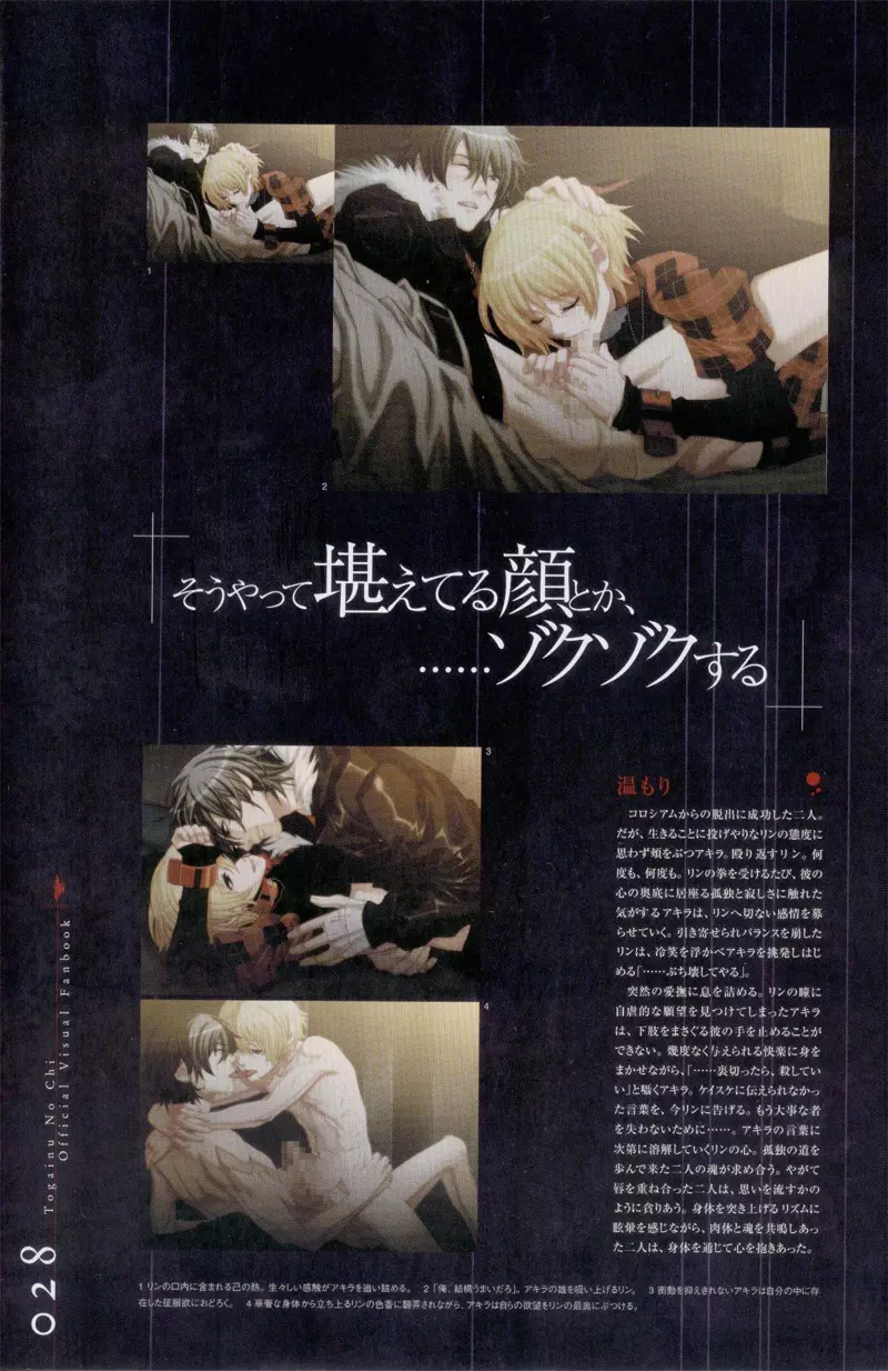 Togainu no chi – Official Visual Fan Book 29ページ