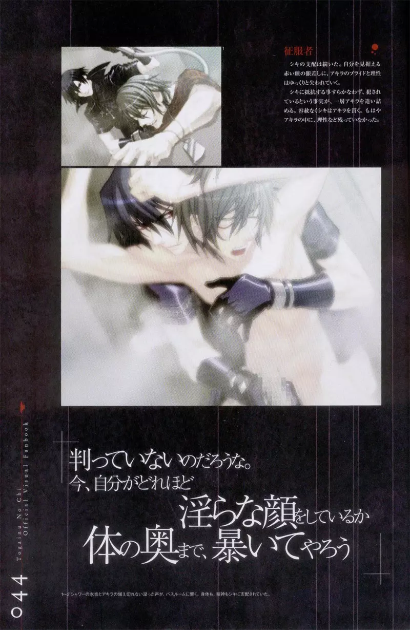 Togainu no chi – Official Visual Fan Book 45ページ