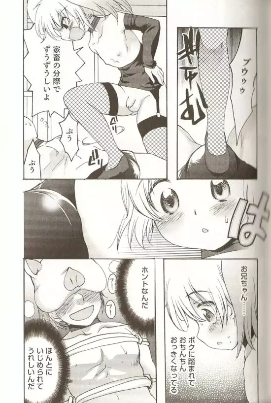SPICY MINT BOYS えろ☆しょた・15 64ページ