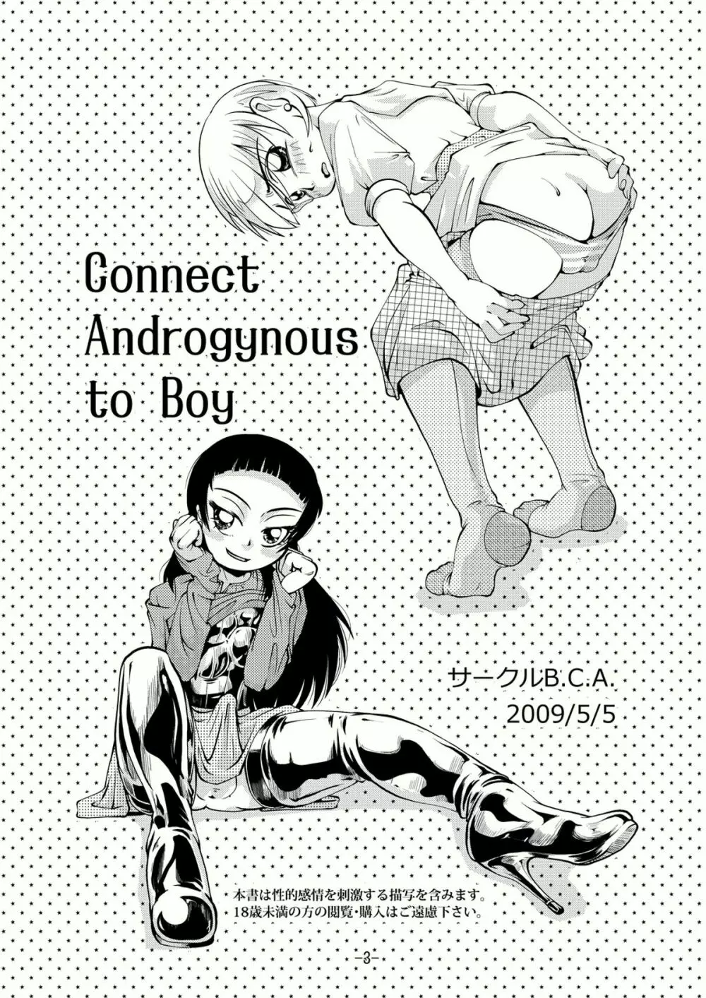 Connect Androgynous to Boy 2ページ