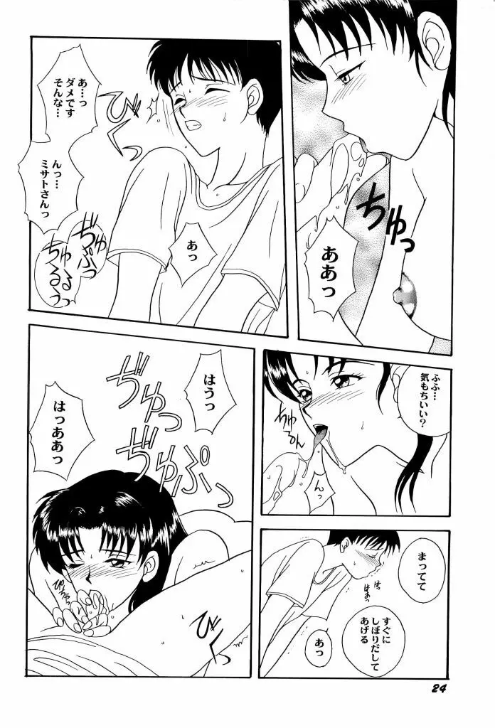 アニパロ美姫4 26ページ