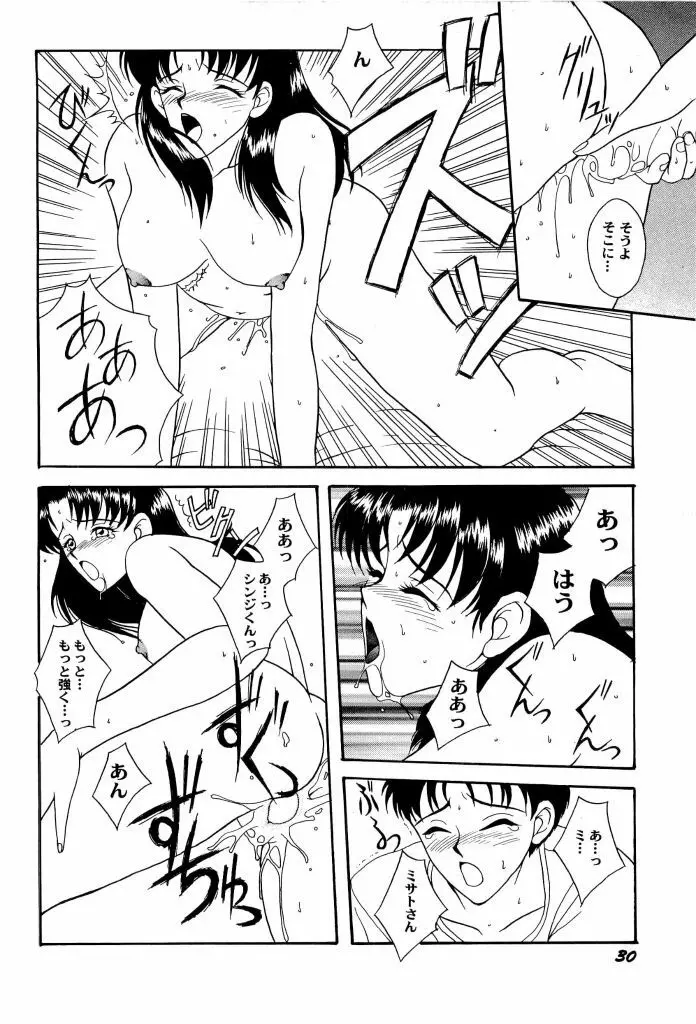 アニパロ美姫4 32ページ