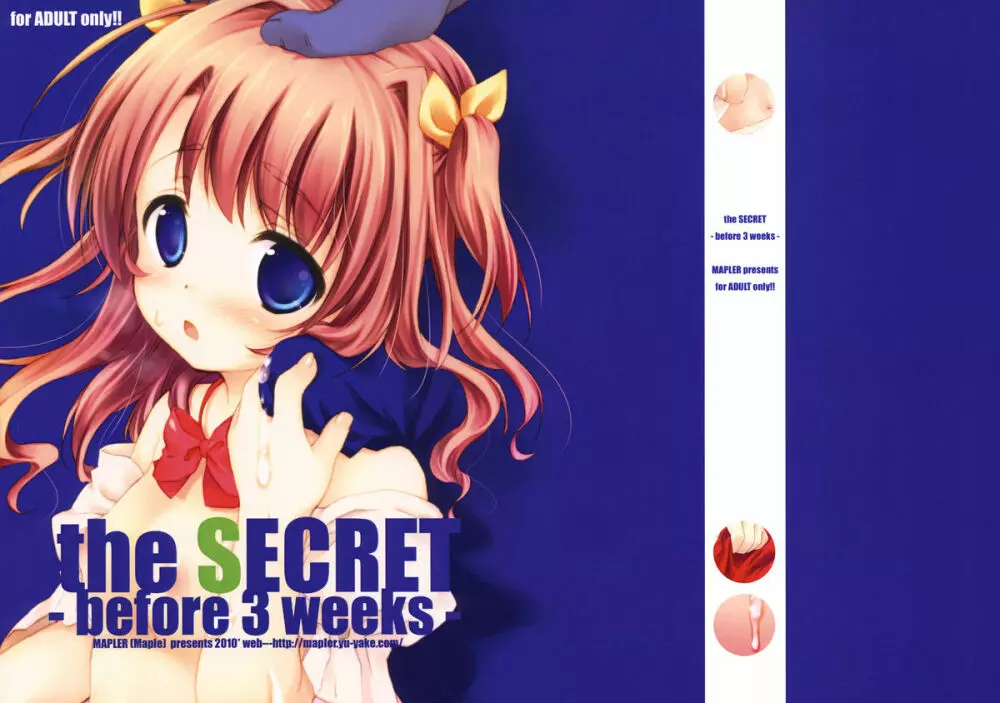 (C78) [MAPLER (まぷる)] the SECRET -before 3 weeks- コピー誌 1ページ