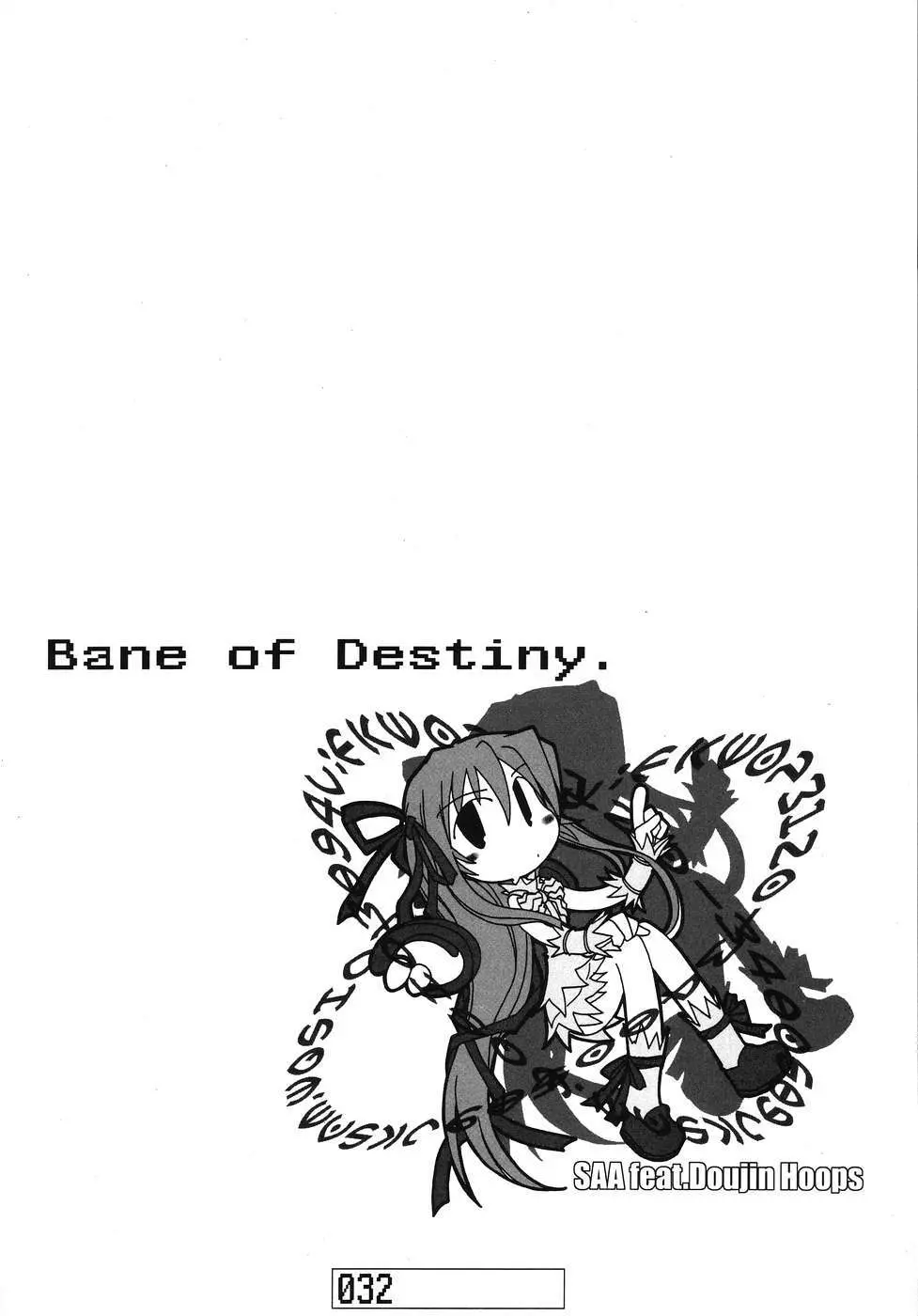Bane of Destiny. 31ページ