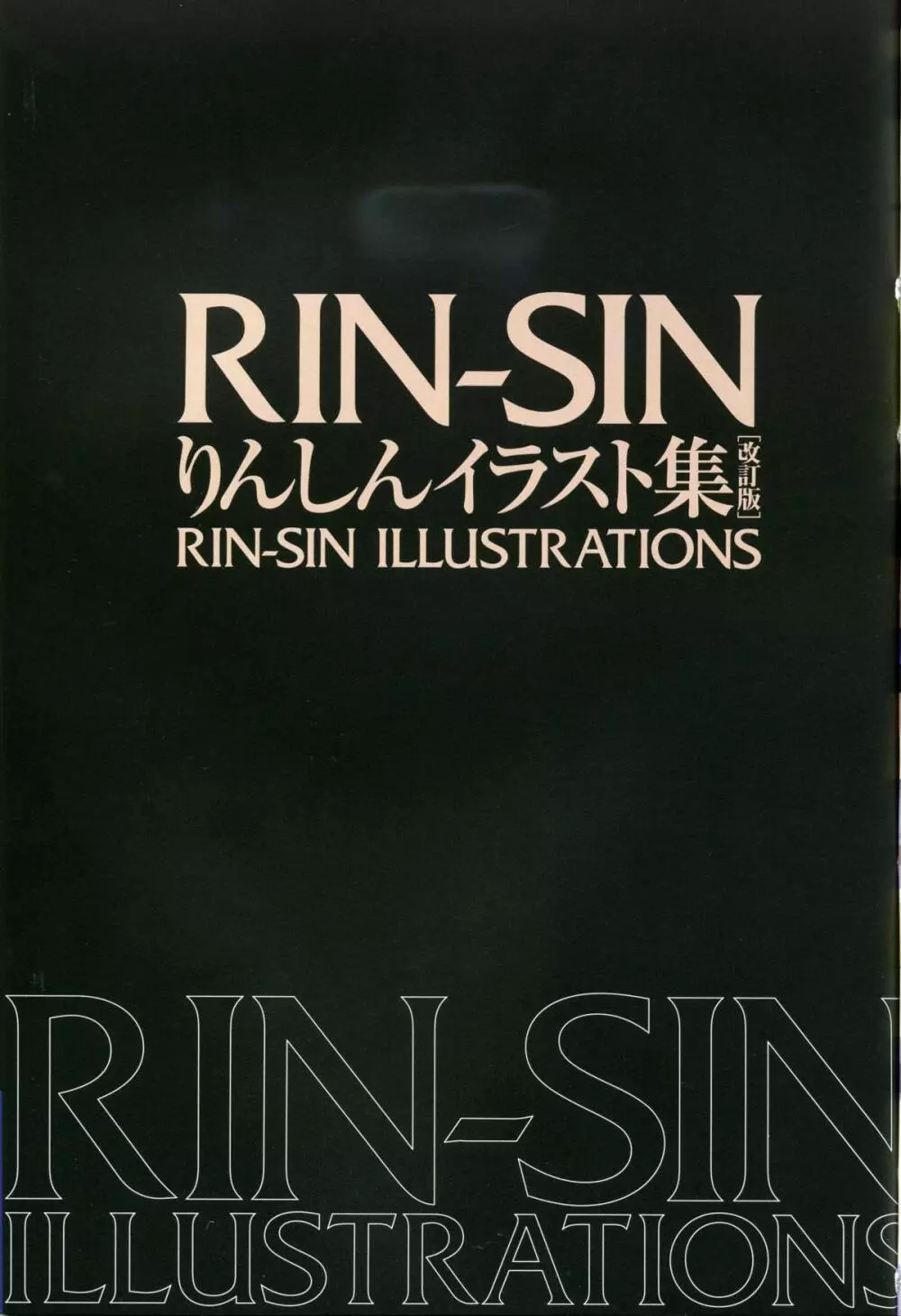 Rin Sin ILLUSTRATIONS 5ページ