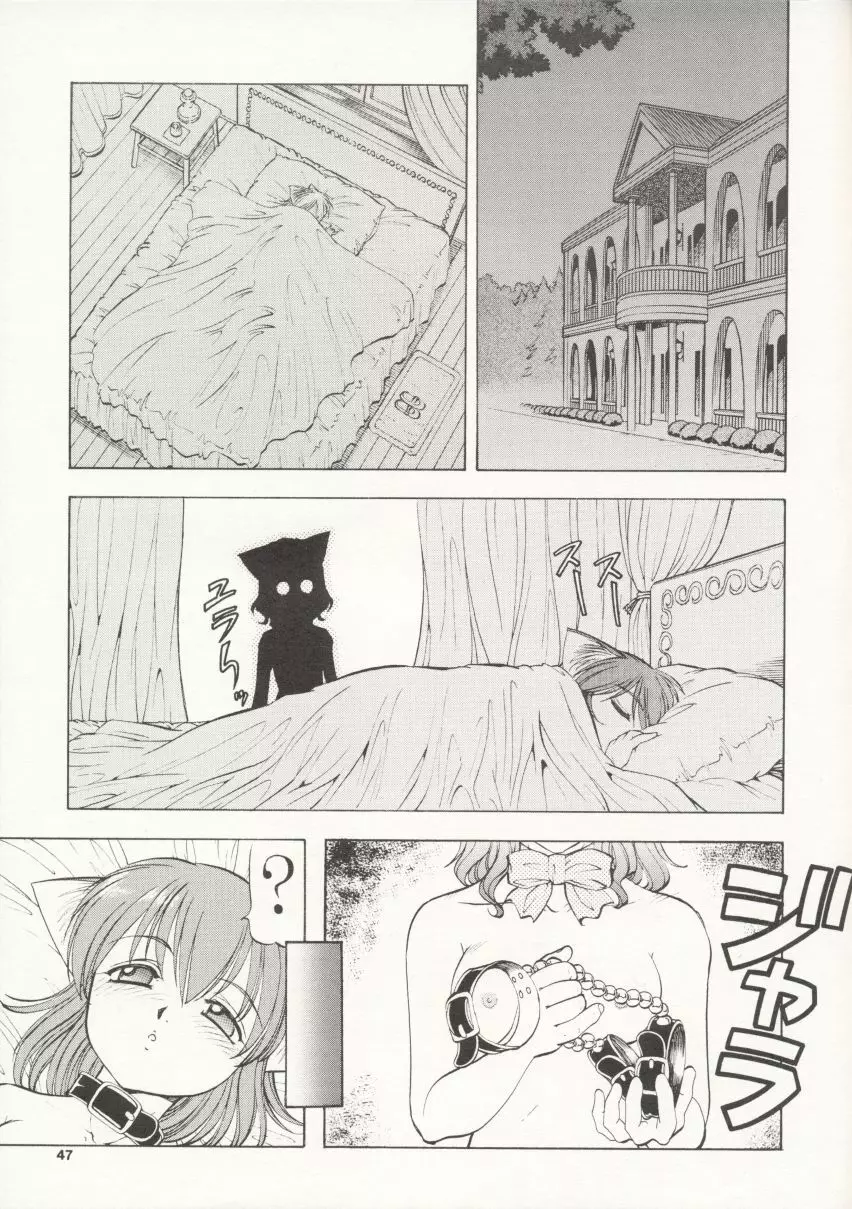 Maid Cats Story 46ページ