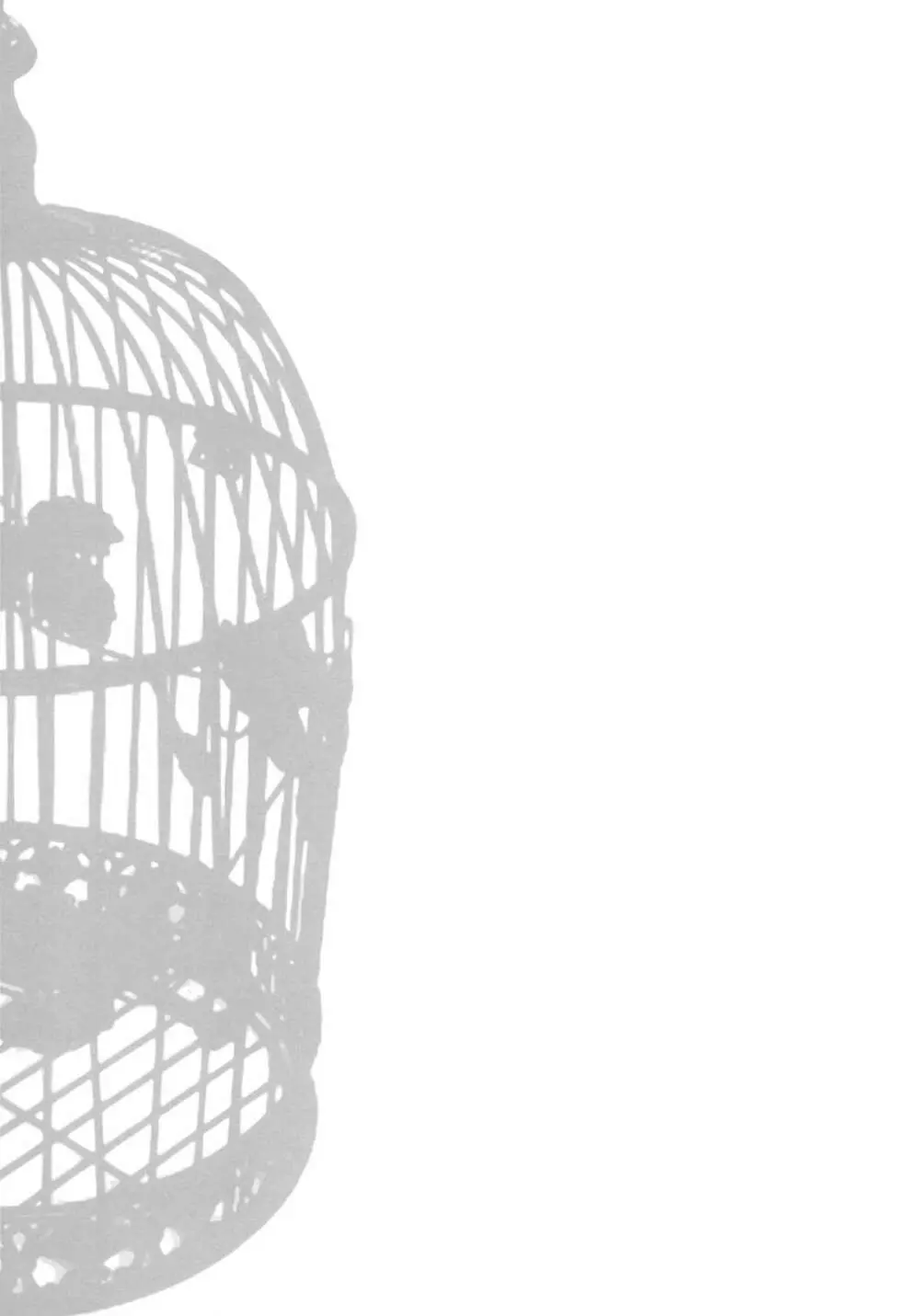 IDOLTIME SPECIAL BOOK YUKIHO HAGIWARA in the Bird Cage 28ページ